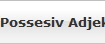 Possesiv Adjektive