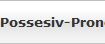 Possesiv-Pronomen
